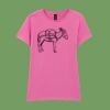 Softstyle™ women's ringspun t-shirt Thumbnail
