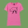 Softstyle™ women's ringspun t-shirt Thumbnail