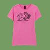 Softstyle™ women's ringspun t-shirt Thumbnail