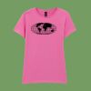 Softstyle™ women's ringspun t-shirt Thumbnail
