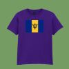 Softstyle™ youth ringspun t-shirt Thumbnail