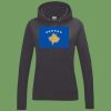 Women's College Hoodie Thumbnail